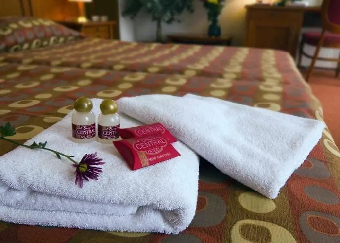 فندق Hotel Central 3*